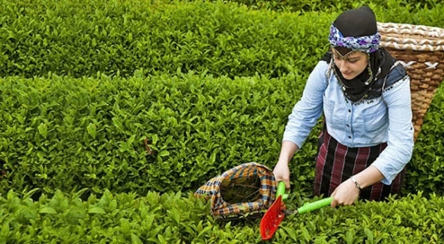 20 bin kişiye bir hafta karantina