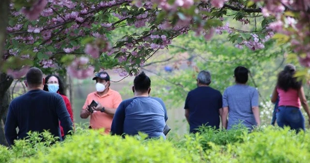 ABD'de eyaletlerin açılması halinde ölümler temmuza kadar 350 bini bulabilir