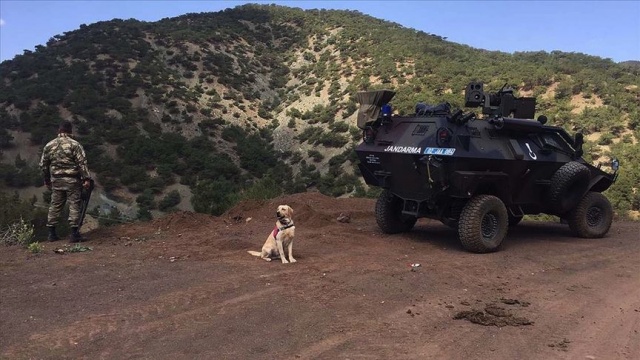 Adıyaman kırsalında 3 terörist etkisiz hale getirildi