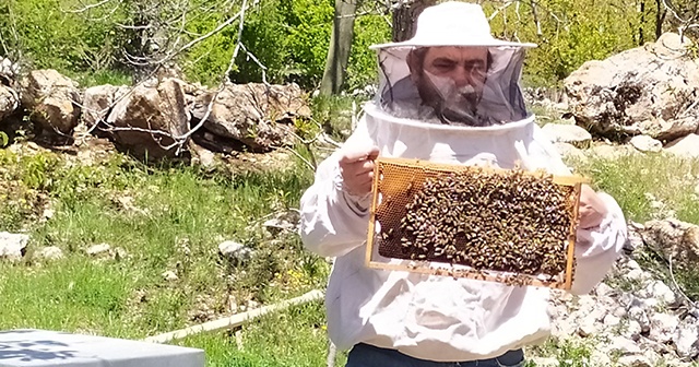 Antalya&#039;da sıcaklıklar arttı, arılar yaylaya taşındı