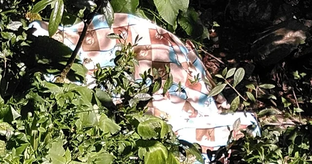 Arazi anlaşmazlığı nedeniyle 3 akrabasını öldüren şahıs ölü olarak bulundu