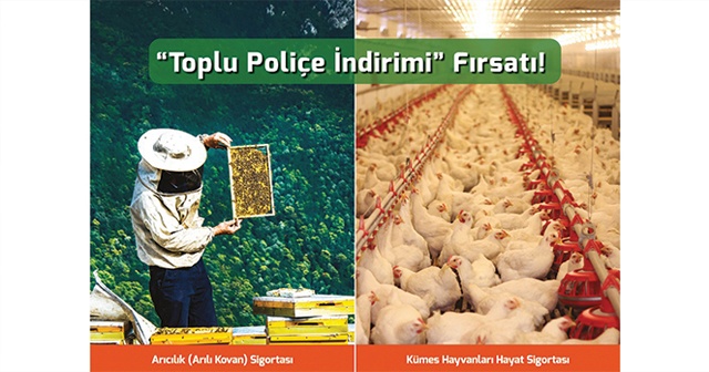 Arı yetiştiricileri ve kanatlı hayvan üreticilerine &#039;toplu poliçe indirimi&#039; fırsatı