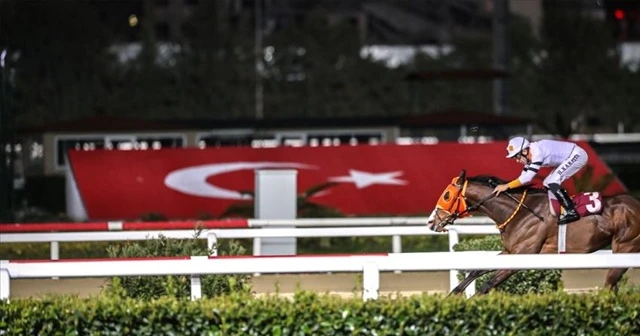 Atçılık camiasından yarışların başlatılması talebi
