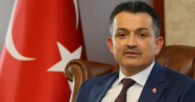 Bakan Pakdemirli&#039;den Anneler Günü mesajı