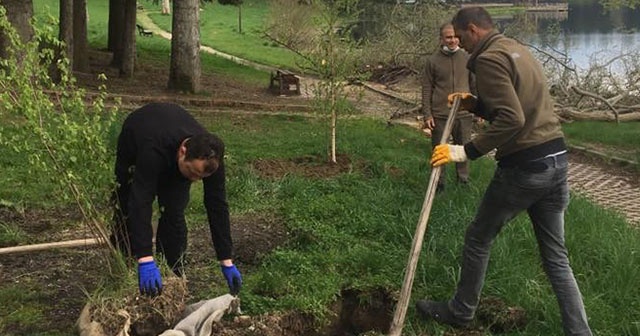 Bolu’da, Gölcük Tabiat Parkı’na fidan dikimi yapıldı