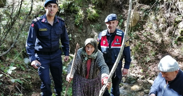 Bolu’da, kaybolan yaşlı kadını jandarma timleri buldu