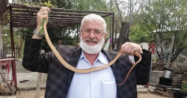 Eve giren 1,5 metrelik boz yılanı elleriyle yakalayıp doğaya saldılar