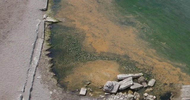 Gemlik Körfezi'nde şaşkına çeviren görüntü