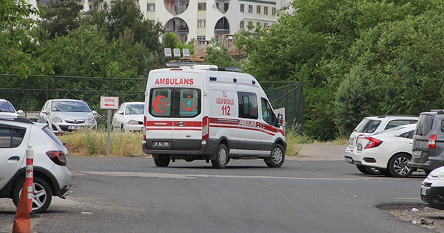 Hayvan otlatma kavgasında kan aktı!