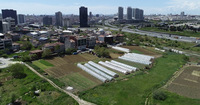 İstanbul’un merkezindeki seralarda tarım başladı