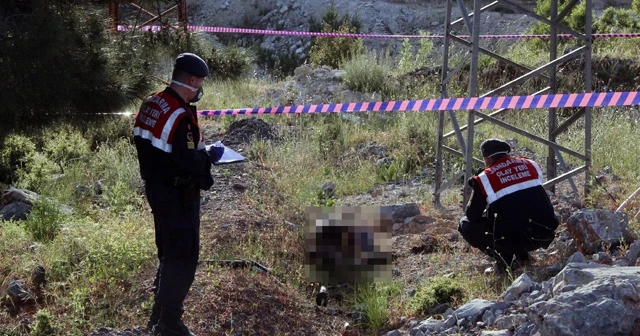 Kablo çalarken akıma kapılarak öldü