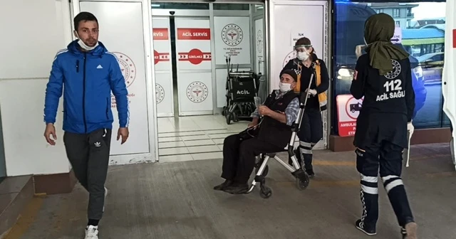 Kovandan kraliçe arıyı almak isterken hastanelik oldu