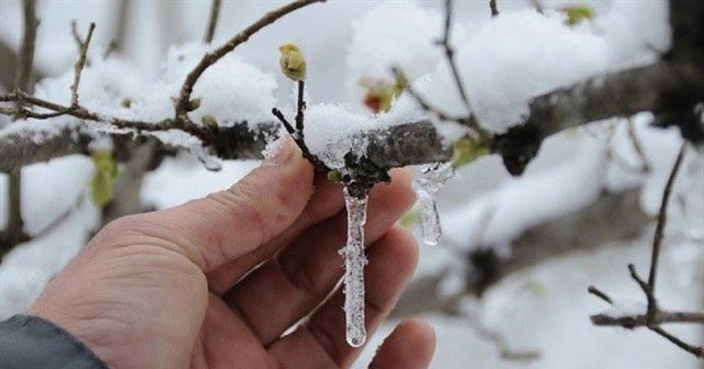 Meteoroloji&#039;den &#039;Zirai don&#039; uyarısı