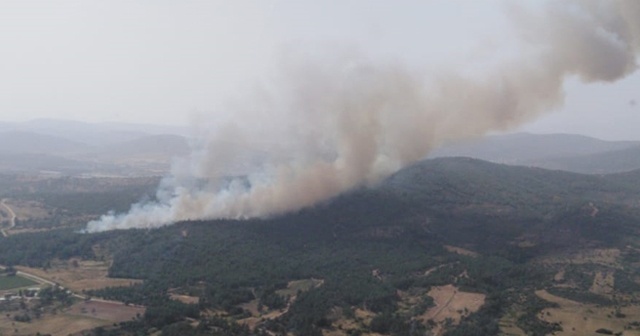 Muğla&#039;da korkutan orman yangını!