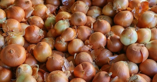 Nisanda en fazla soğanın fiyatı arttı