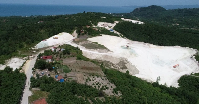 Ordu'da çıkarılıyor 37 ülkeye ihraç ediliyor