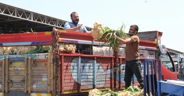 Sebze arzı patladı, fiyatlar halde dip yaptı, markette fırladı