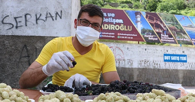 Şifa deposu ‘dut’ tezgahlarda yerini aldı