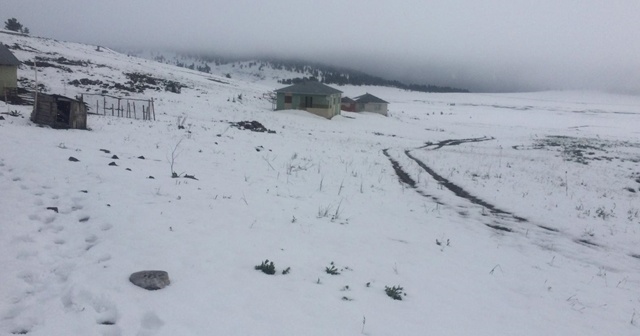 Sivas&#039;ta kar nedeniyle yaylada mahsur kalan çoban ve hayvanları kurtarıldı