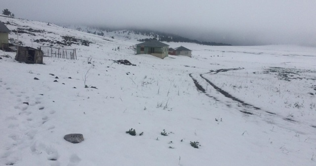 Sivas'ta kar nedeniyle yaylada mahsur kalan çoban ve hayvanları kurtarıldı