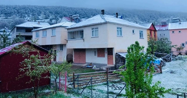 Sivas’ta Mayıs karı