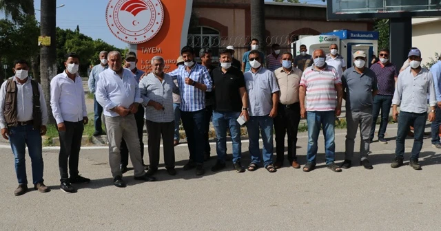 Soğan ve patates üreticisi hasadı durdurdu