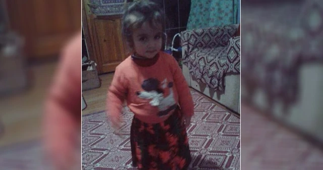 Sulama kuyusuna düşen 3 yaşındaki çocuk boğuldu