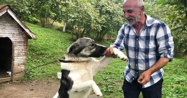Yayladaki evinde ölü bulundu