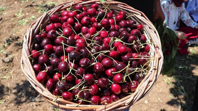 Yurt dışındaki alıcı çiftçiye doğrudan ulaşacak