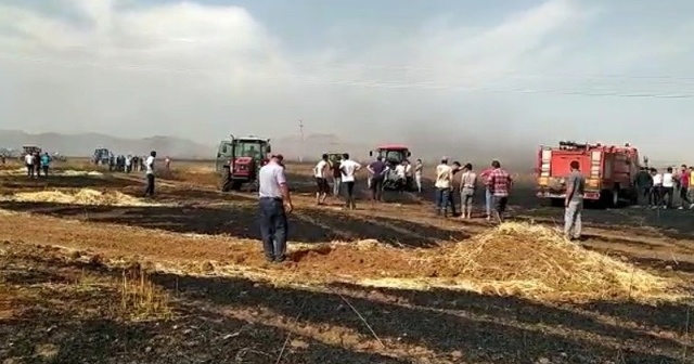 600 dönüm buğday ekili tarlayı ateşe verip kaçtılar!