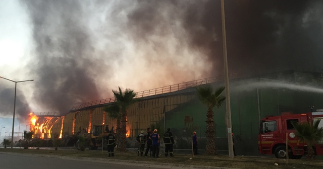 Adana'da nişasta fabrikasında büyük yangın