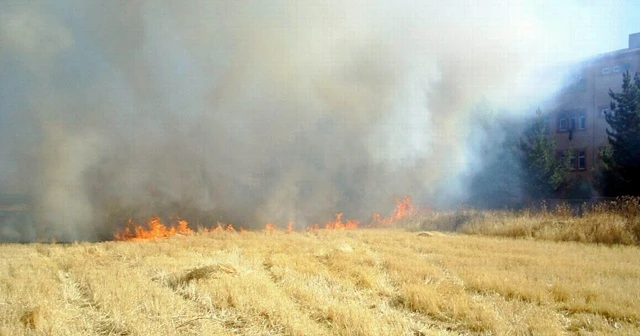 Anız yakanlara ceza uyarısı