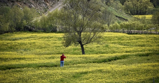 Bu manzara yılda sadece 15 gün görülüyor