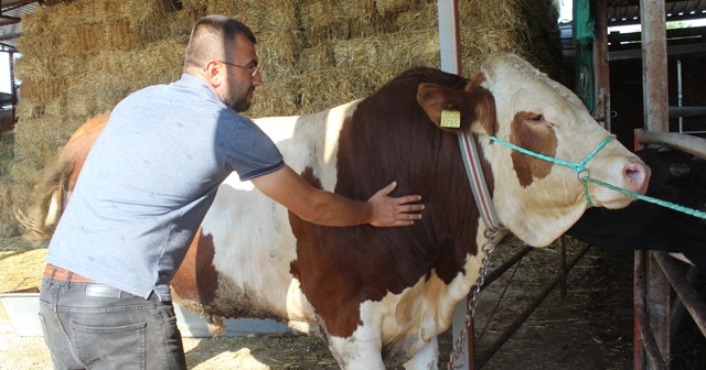 Bursa&#039;nın &#039;Reis&#039;i alıcısını bekliyor