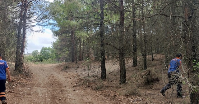 Denizli&#039;de kaybolan kadın için arama çalışması başlatıldı