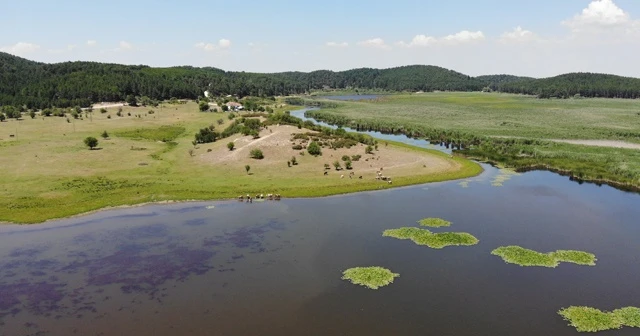 Doğa güzelliği Yayla Gölü hassas koruma alanı ilan edildi