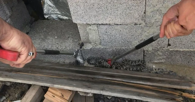 Elektrik üretim tesisindeki yılanı itfaiye yakalayıp doğaya bıraktı