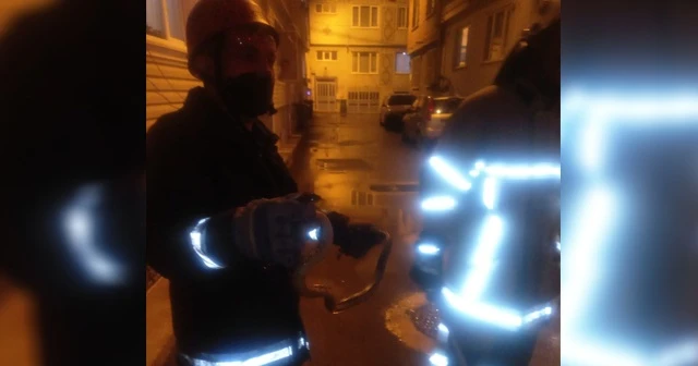 Eve tırmanmaya çalışan yılan itfaiye ekipleri tarafından yakalandı