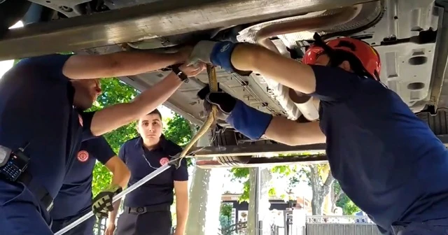 Fatih'te otomobile giren yılan itfaiyeyi alarma geçirdi