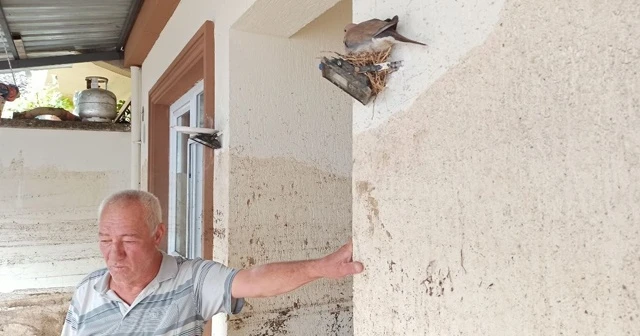 Felaketin simgesi oldu