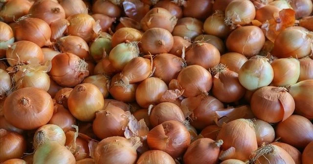 Geçen yıl 6 liraya satılan soğanın fiyatı düştü