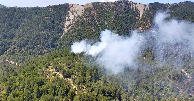 Hatay&#039;da orman yangını