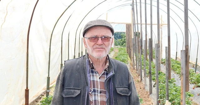 Hobi olarak başladı, şimdi tonlarca üretmeye başladı