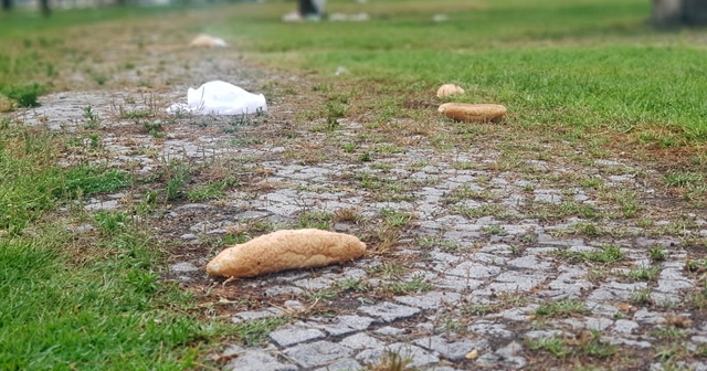 İstanbul&#039;da iki sahilde vatandaşları şoka uğratan manzara