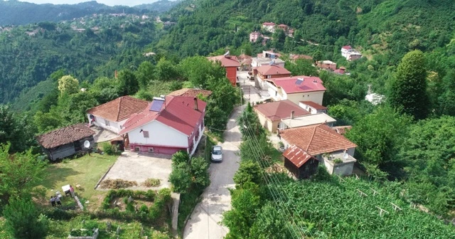 Karadeniz fıkrası gibi mahalle: Yer gök ‘sarı’