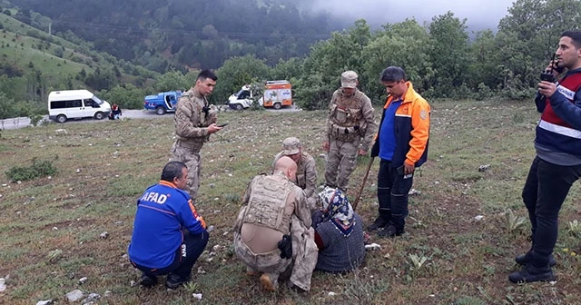 Kaybolan yaşlı kadın ormanlık alanda bulundu