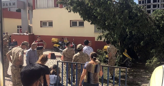 Kesilen ağaç postacının üzerine düştü