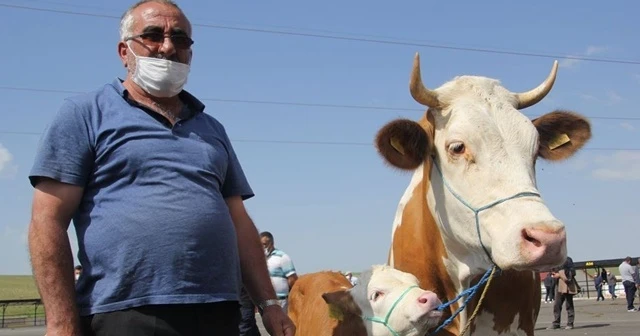 Kurban tedbirleri açıklandı