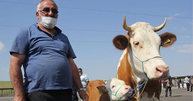 Kurbanlık alacaklar bu habere dikkat!