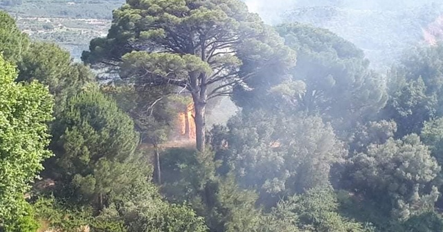 Kuşadası’ndaki orman yangını kontrol altına alındı